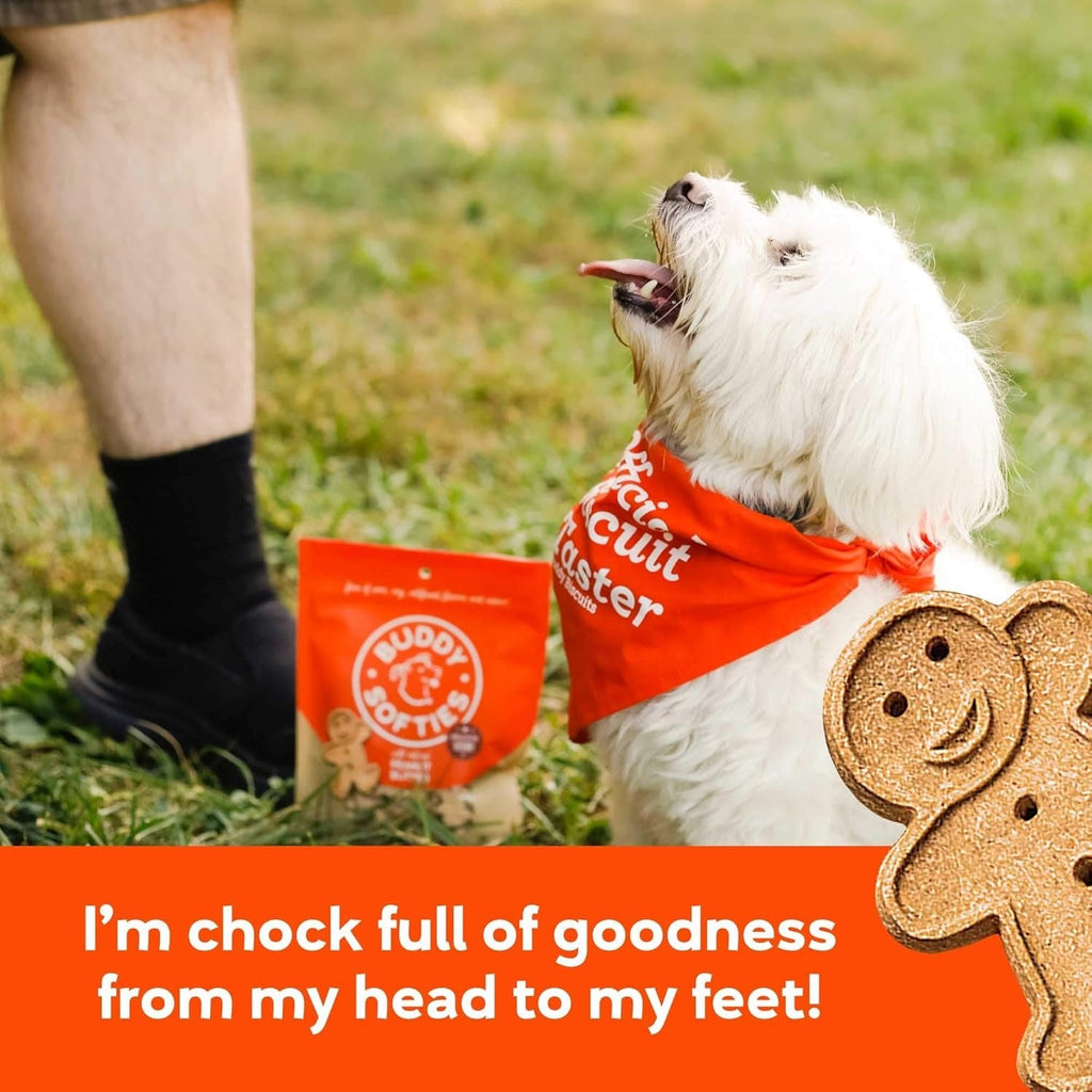 Soft & Chewy Peanut Butter Dog Treats