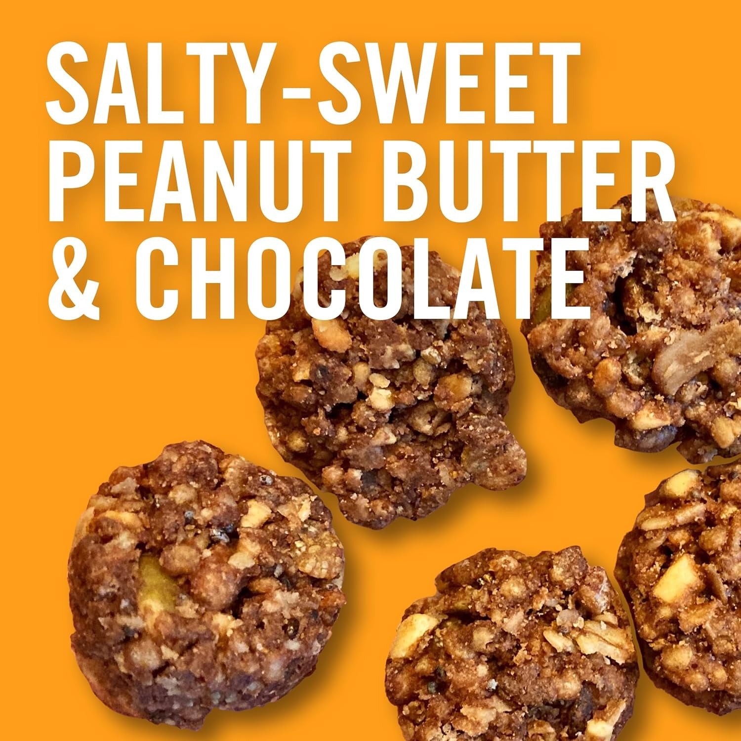 Organic PB & Chocolate Snack Bites