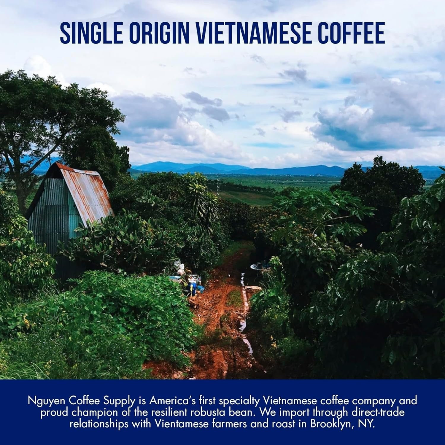 Vietnamese Cold Brew Coffee with Condensed Milk (12 Pack)