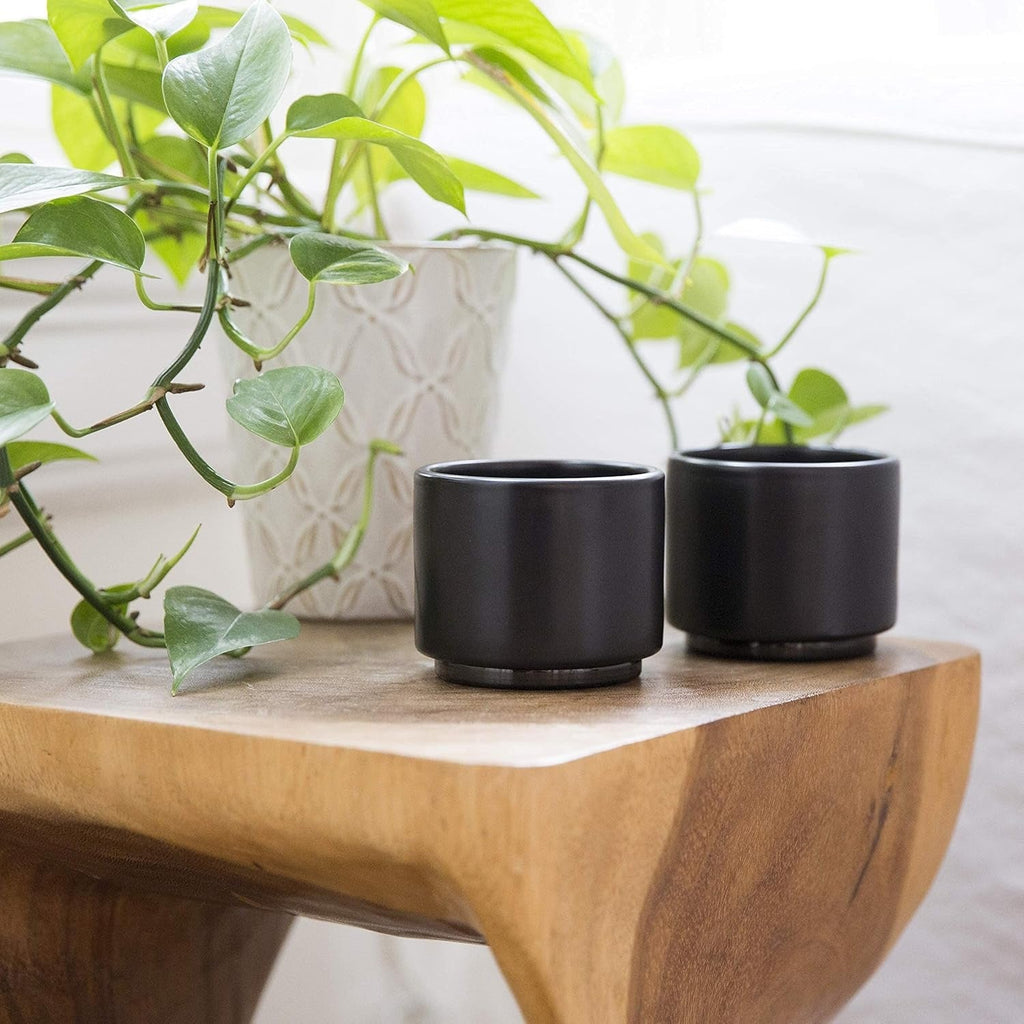 Monty Milk Art Espresso Cups (Set of 2) - Black