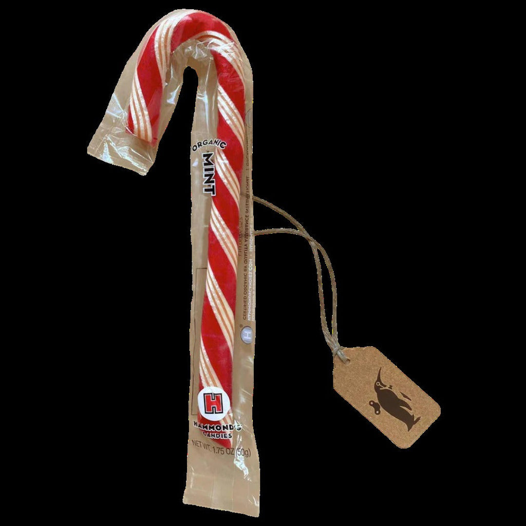 Jumbo Candy Cane - Peppermint