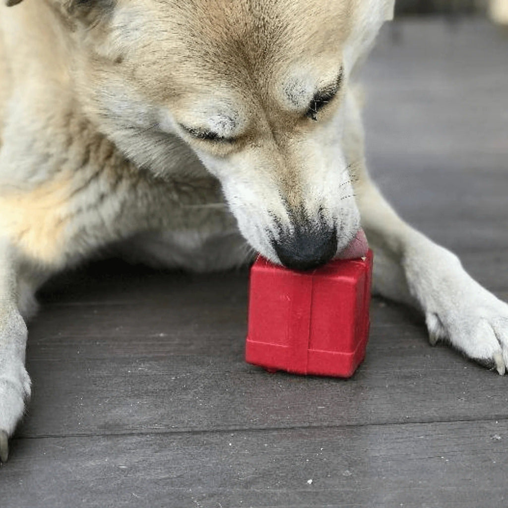 Gift Box Chew Toy & Treat Dispenser - Medium - Red