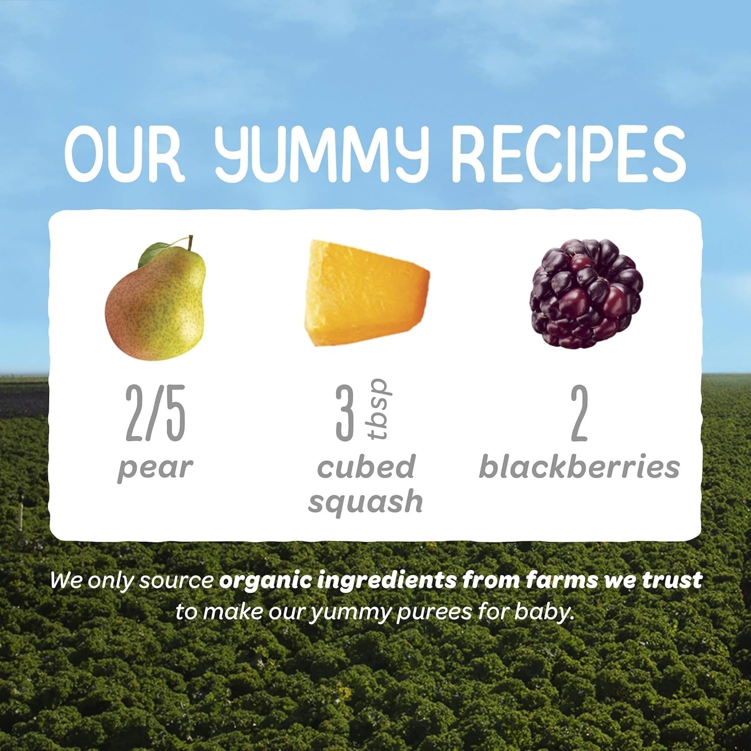 Organic Pears, Squash & Blackberries - Stage 2 (16 Pack)