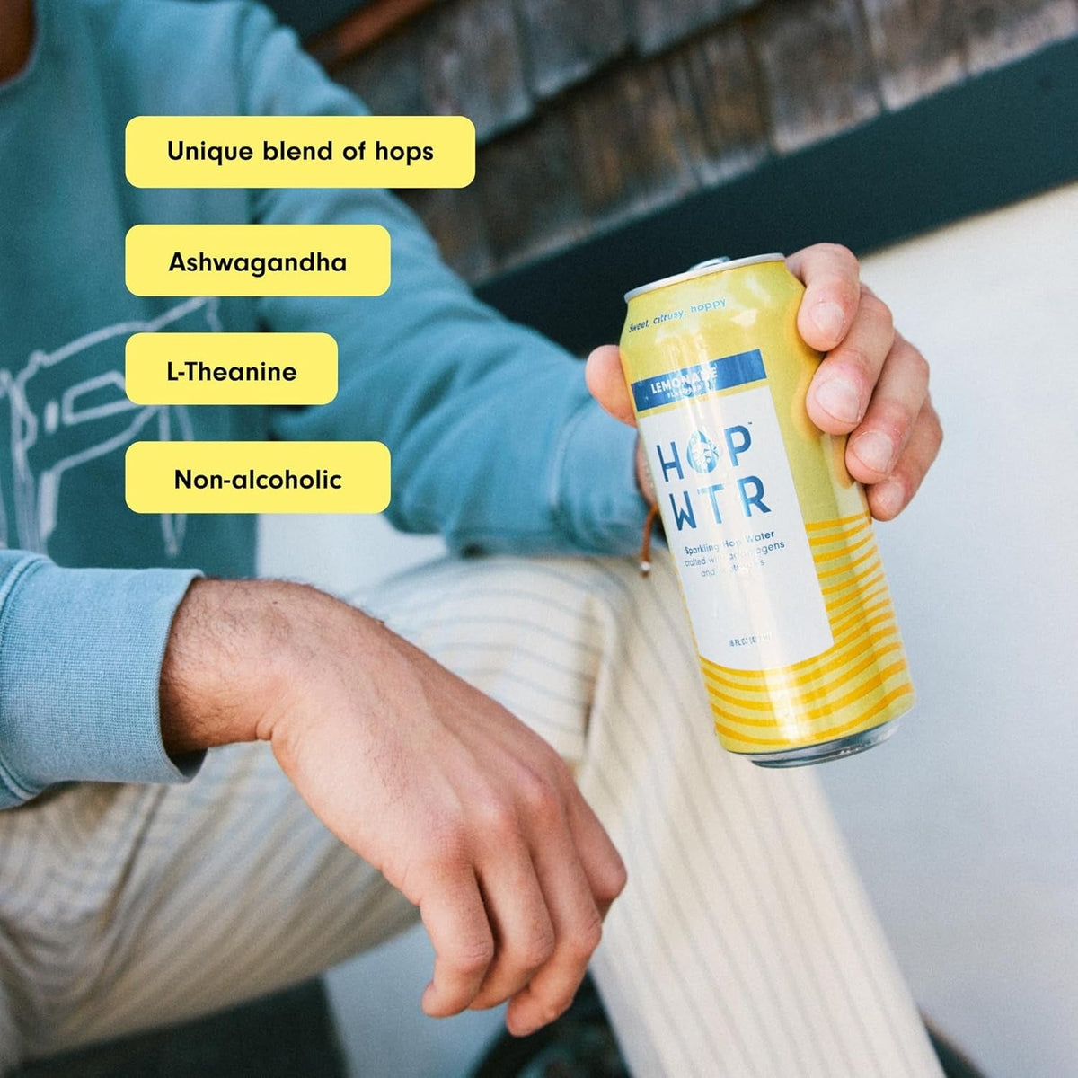 Lemonade Sparkling Hop Water (12 Pack)
