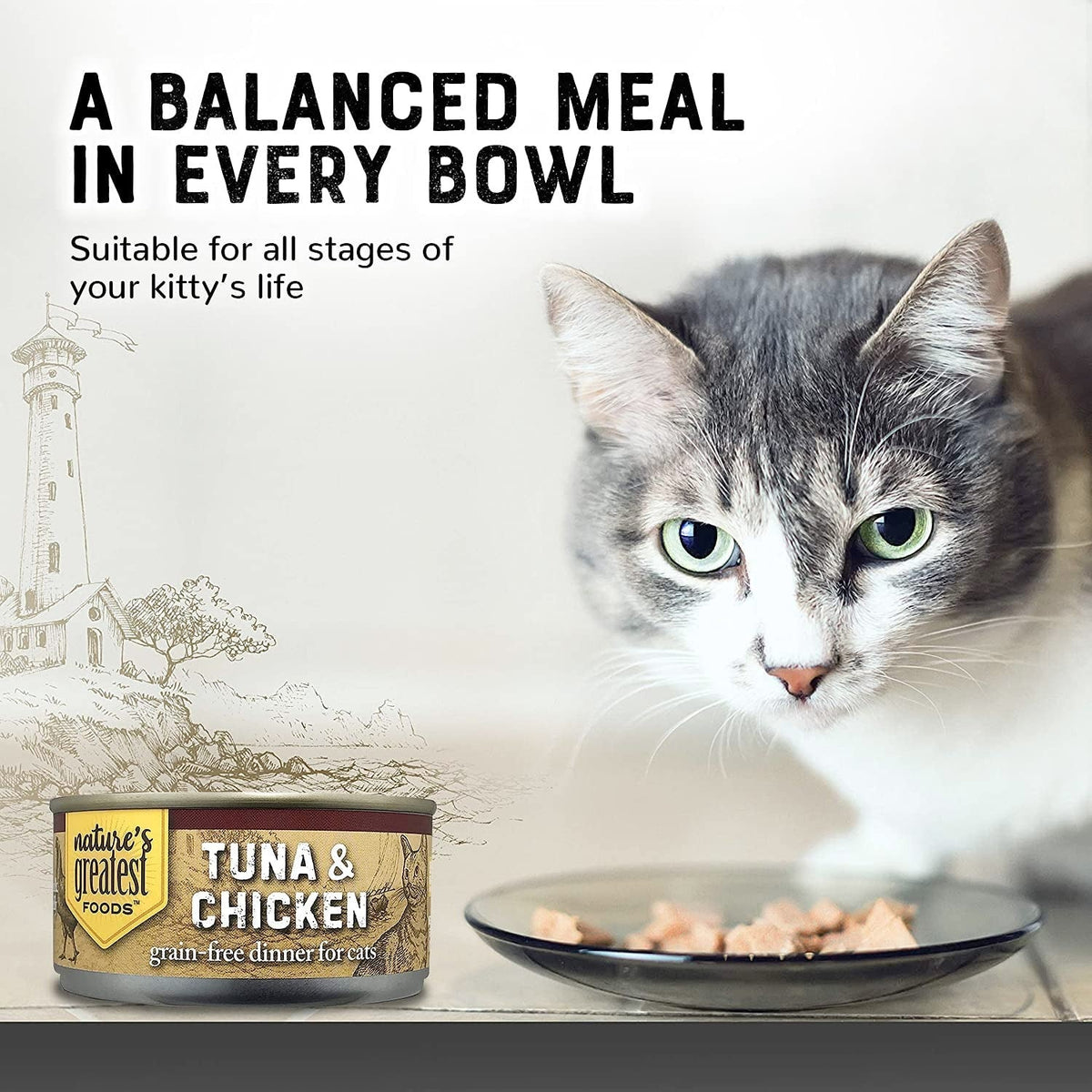 Grain-Free Cat Food Tuna & Topping Chicken