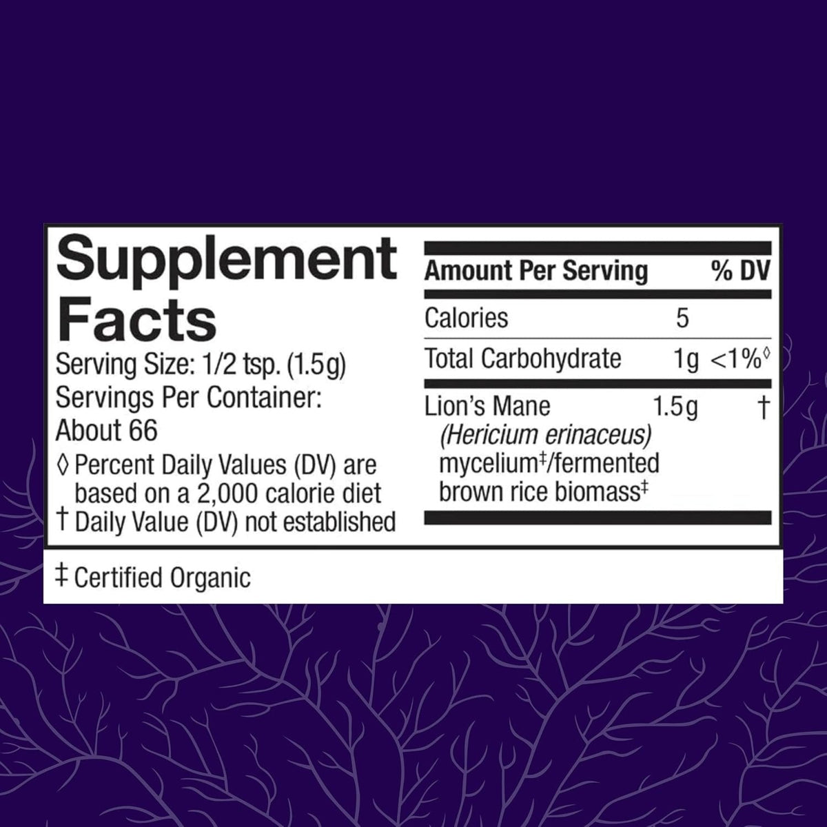 Lion's Mane Powder - Brain Health Support Supplement