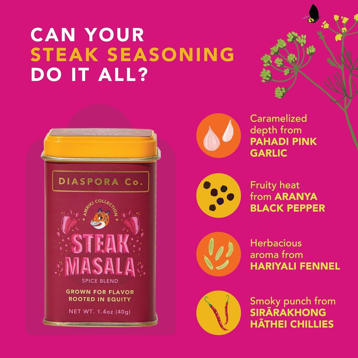 Steak Masala Spice Blend