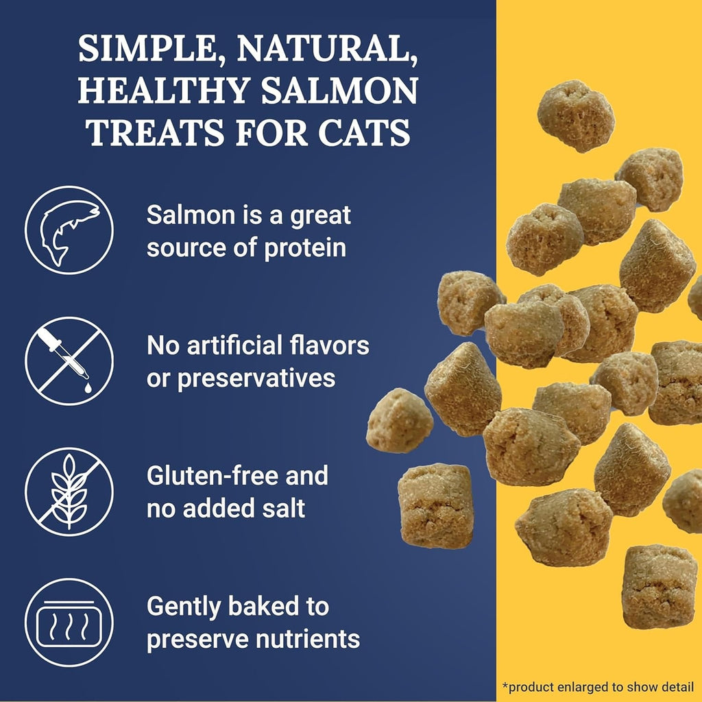 Salmon Morsels Recipe Cat Treat