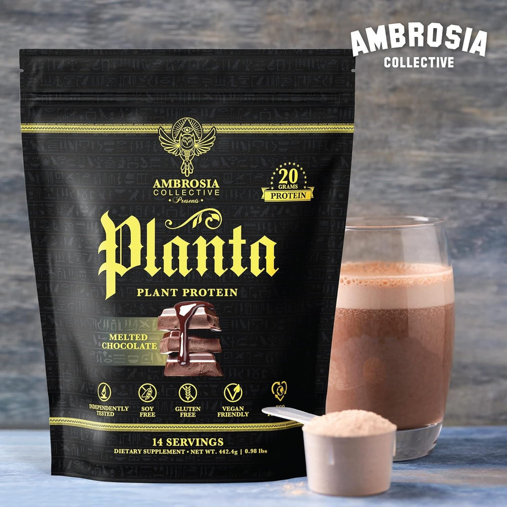 Chocolate Plant Protein