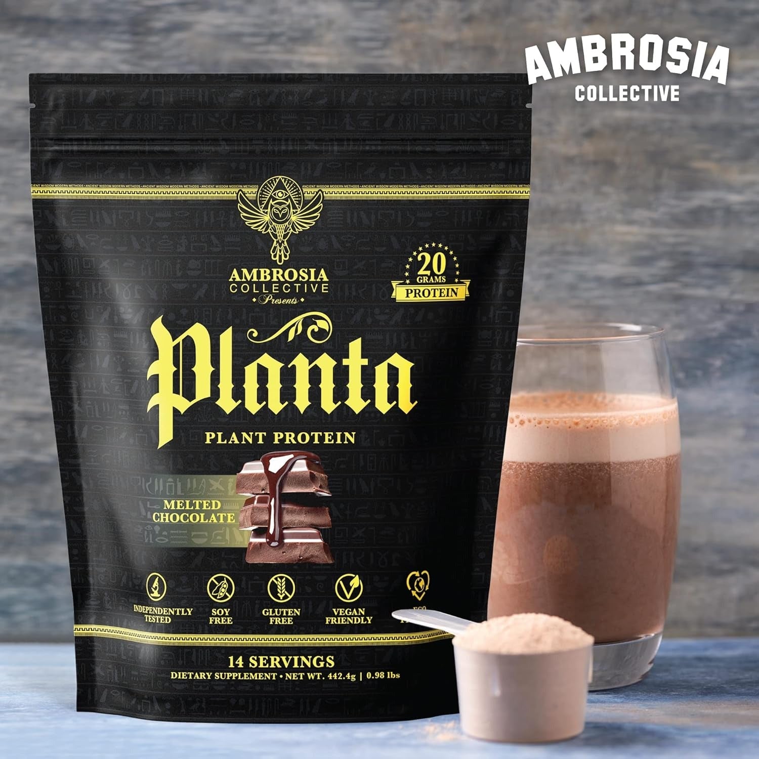 Chocolate Plant Protein