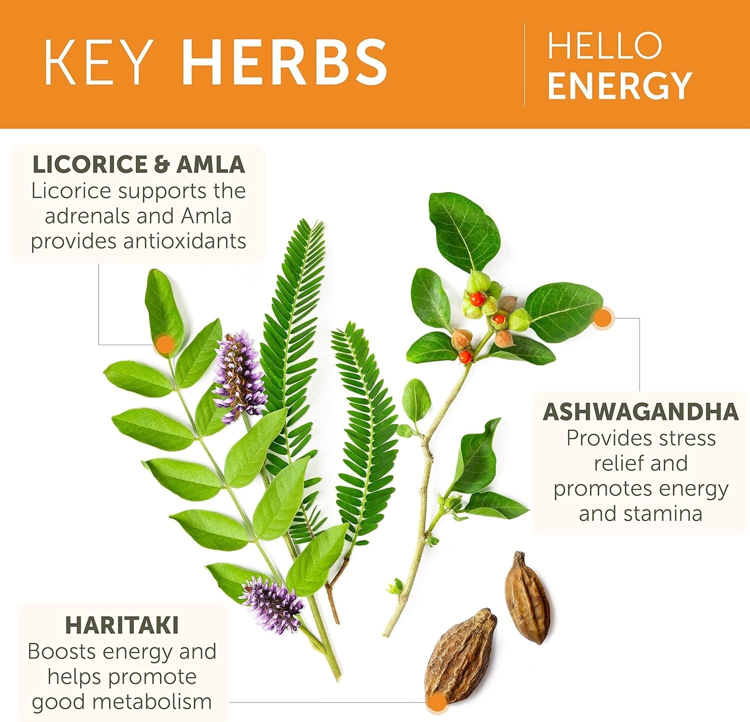 Hello Energy Adrenal Support Vegetarian Supplement (60 CT)