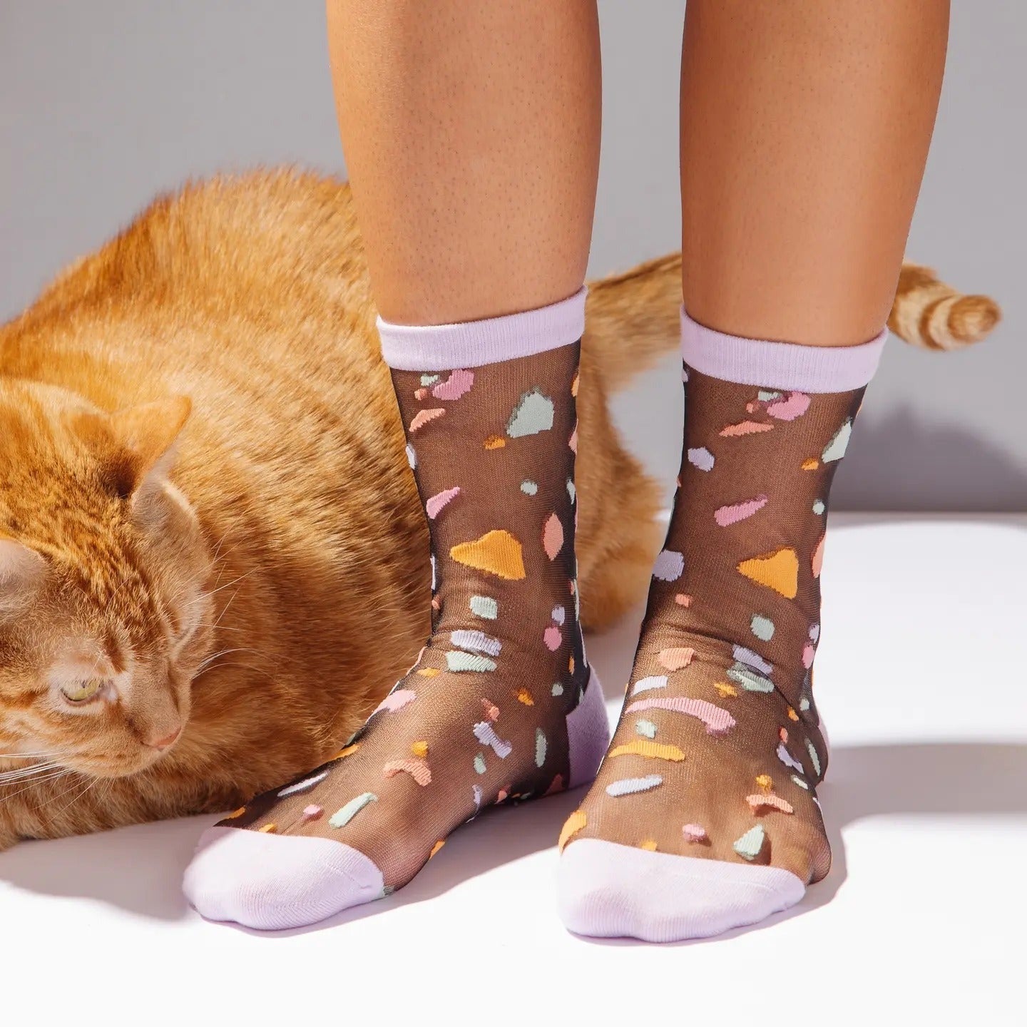 Sheer Socks in Fragments
