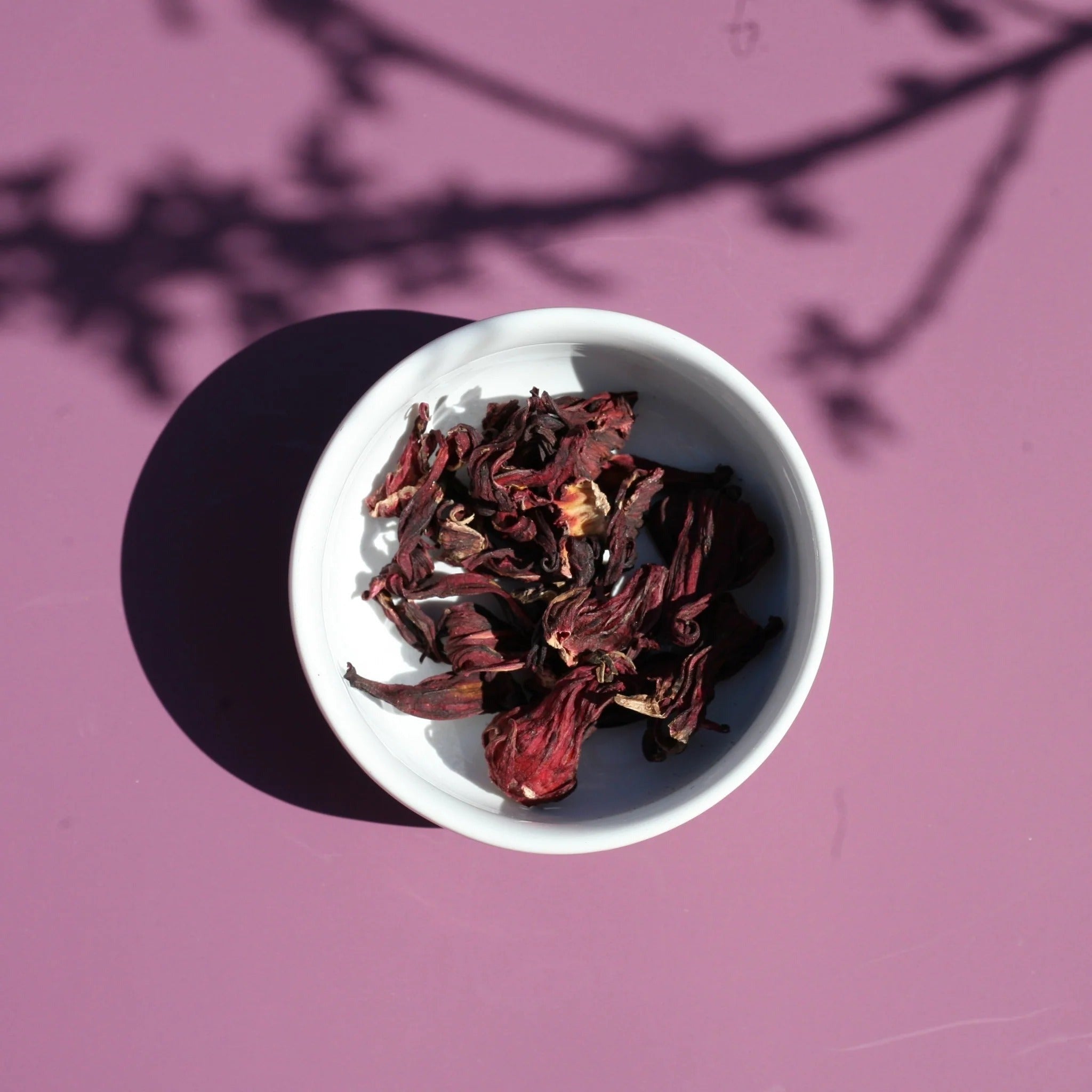 Hibiscus Flowers