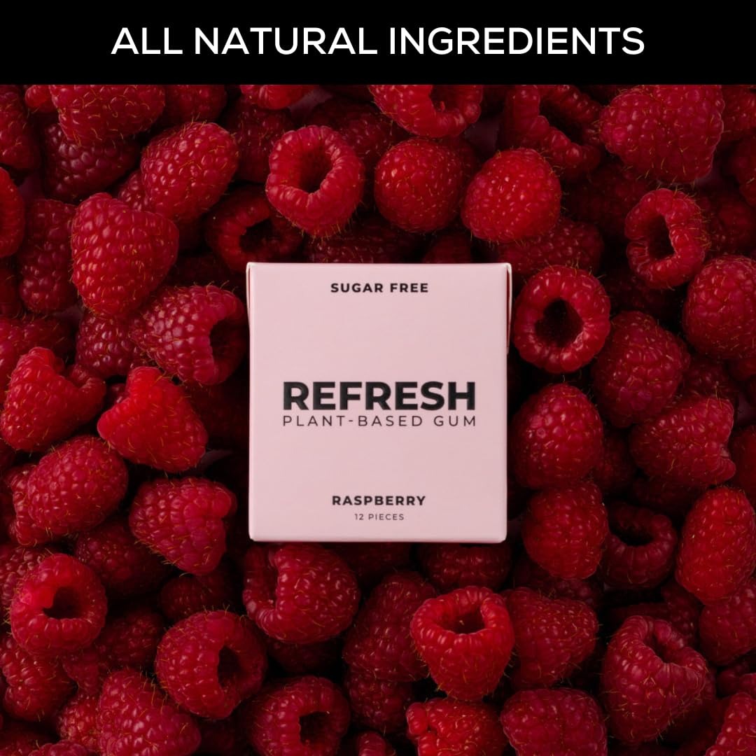Raspberry Plant Based Gum (12 Pack)
