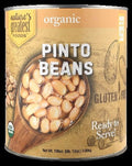Organic Pinto Beans