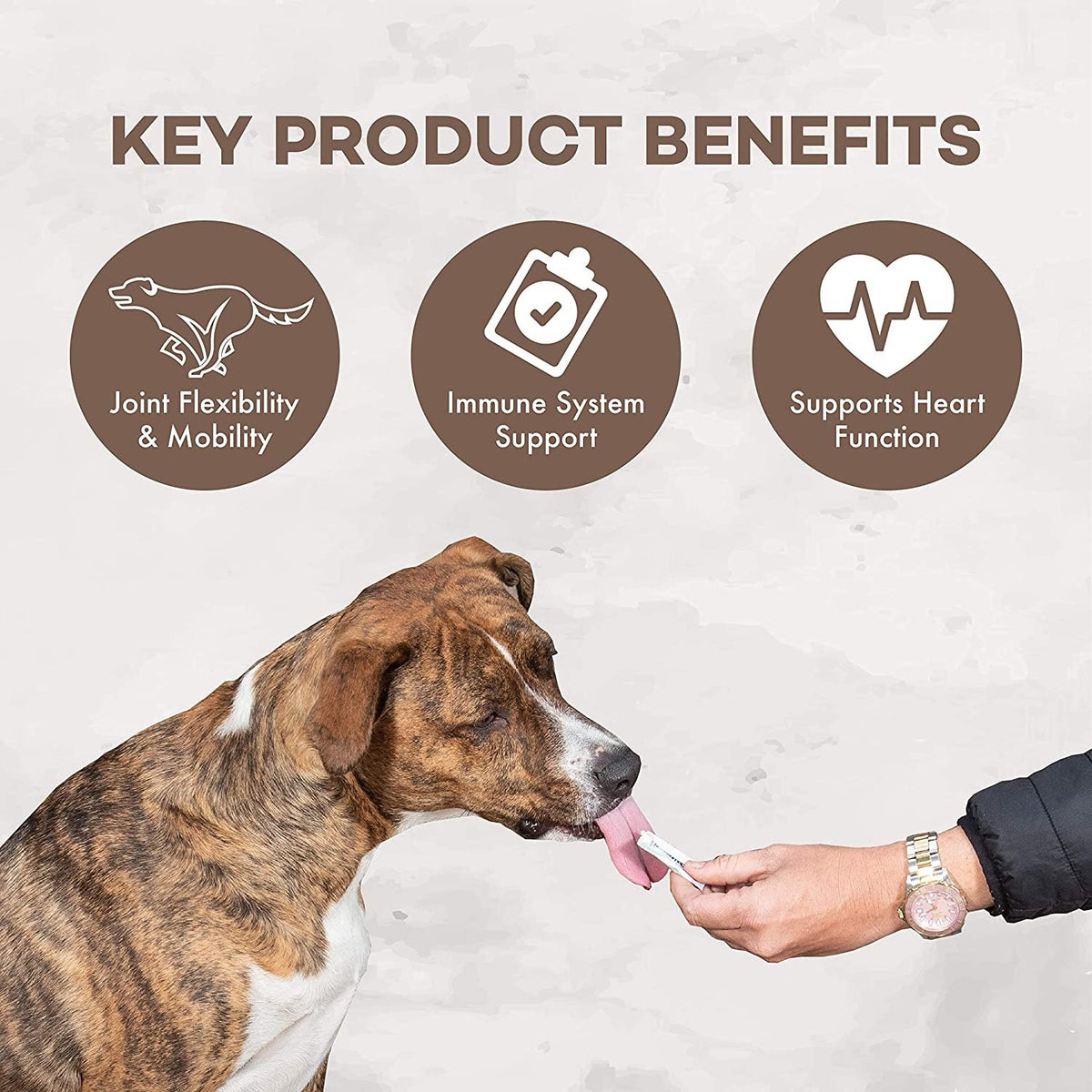 Pup Packs Mobility Support Dog Supplement 30Ct