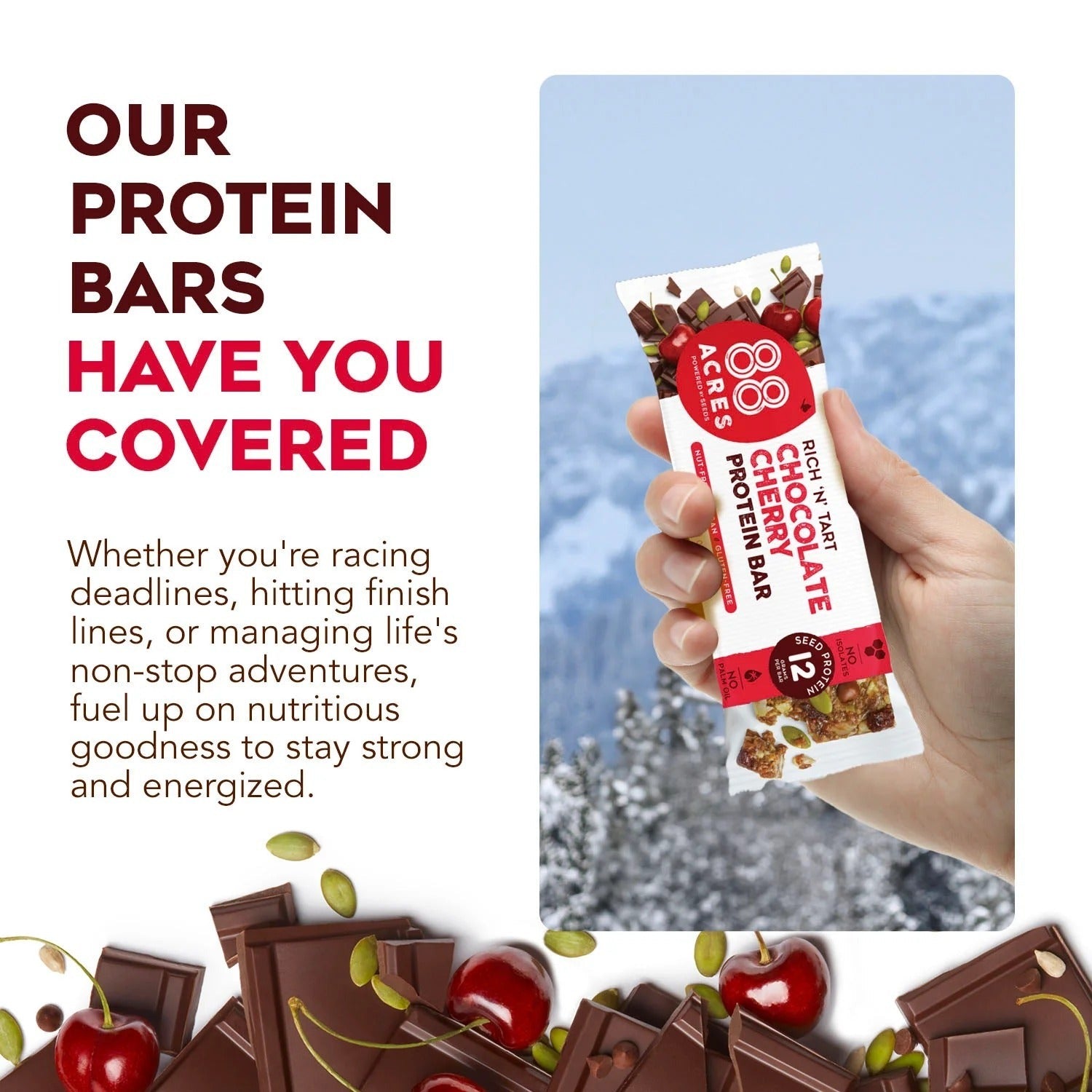 Chocolate Cherry Protein Bar (9 CT)