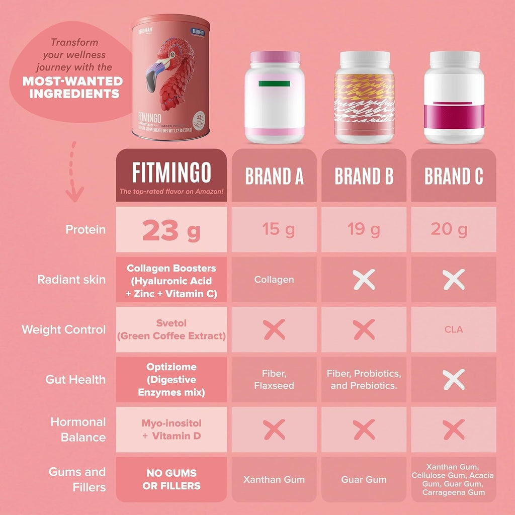 Fitmingo Blueberry Plant-Based Protein Powder