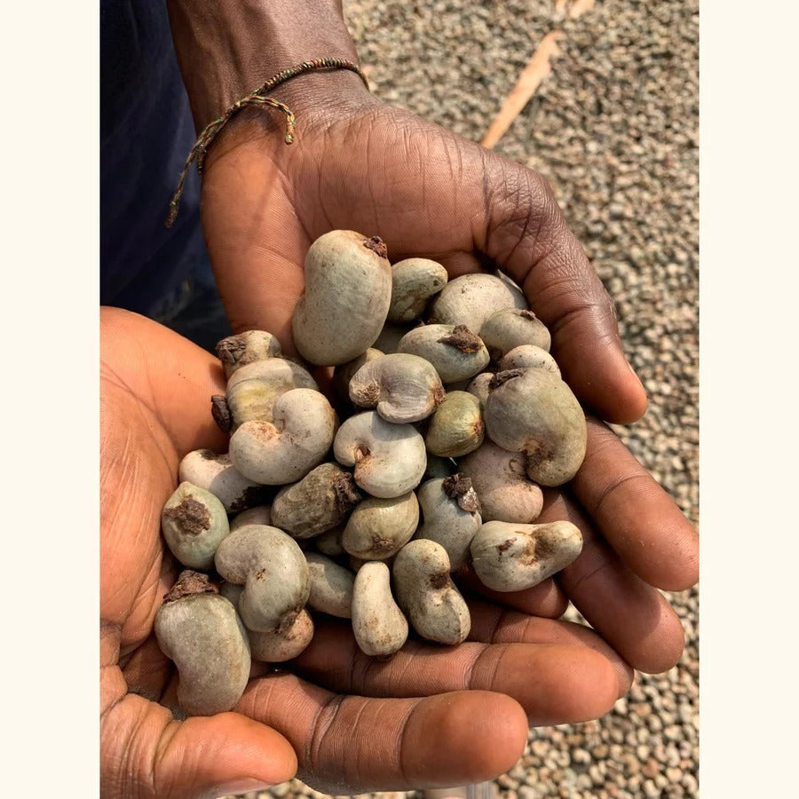 Dry Roasted Giant-Sized Cashews