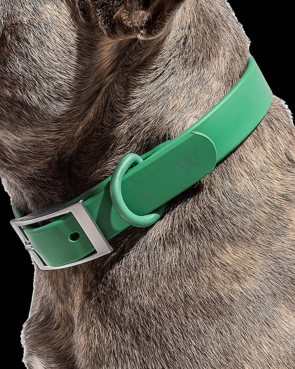 Collar Large - Spruce