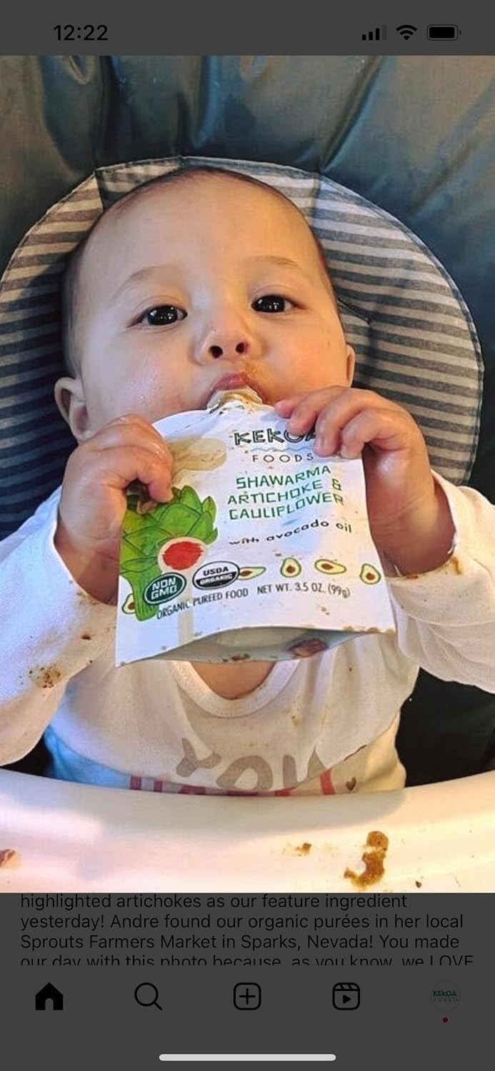 Shawarma Artichoke And Cauliflower Baby Food (6 Pack)
