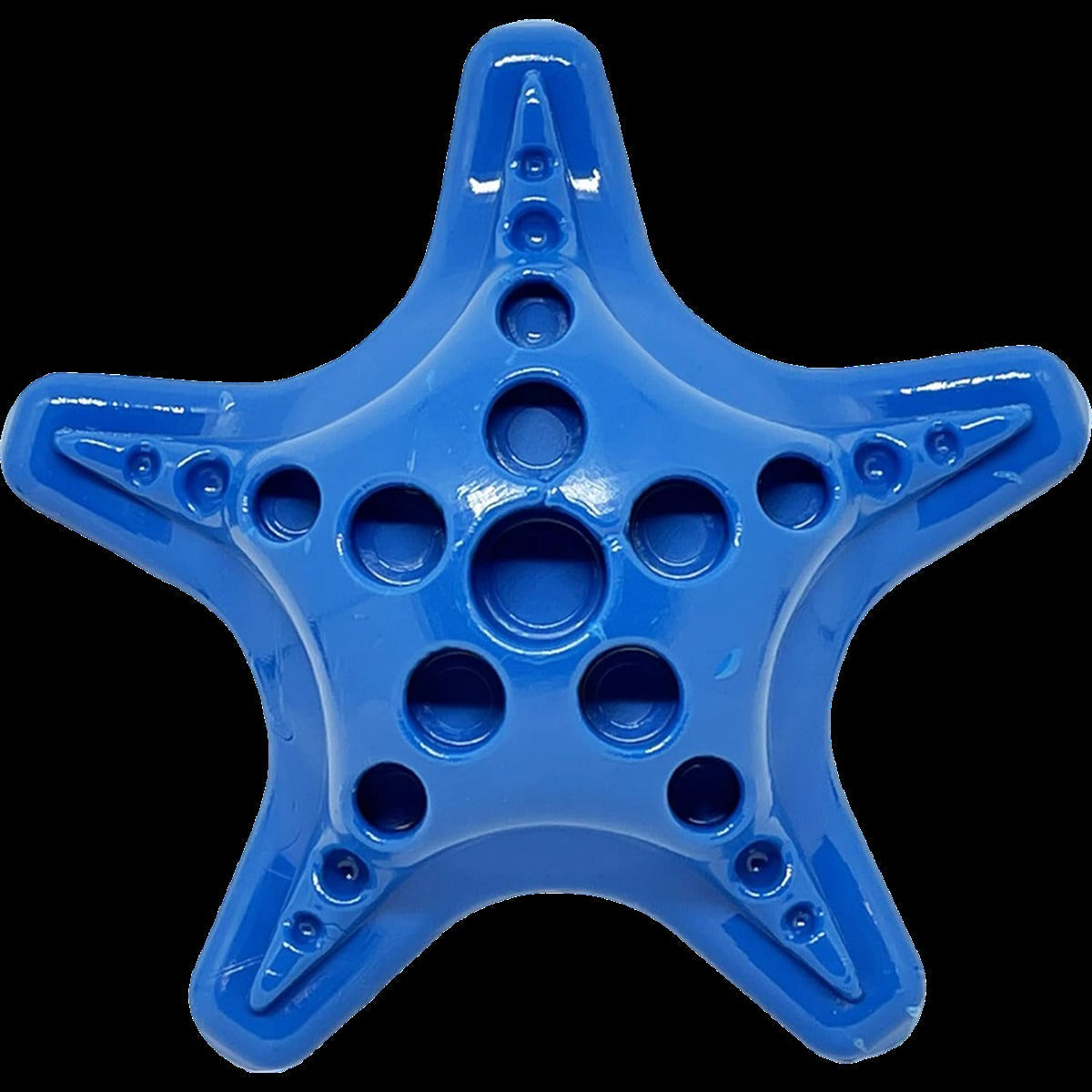Starfish – Durable Dog Chew Toy - Blue