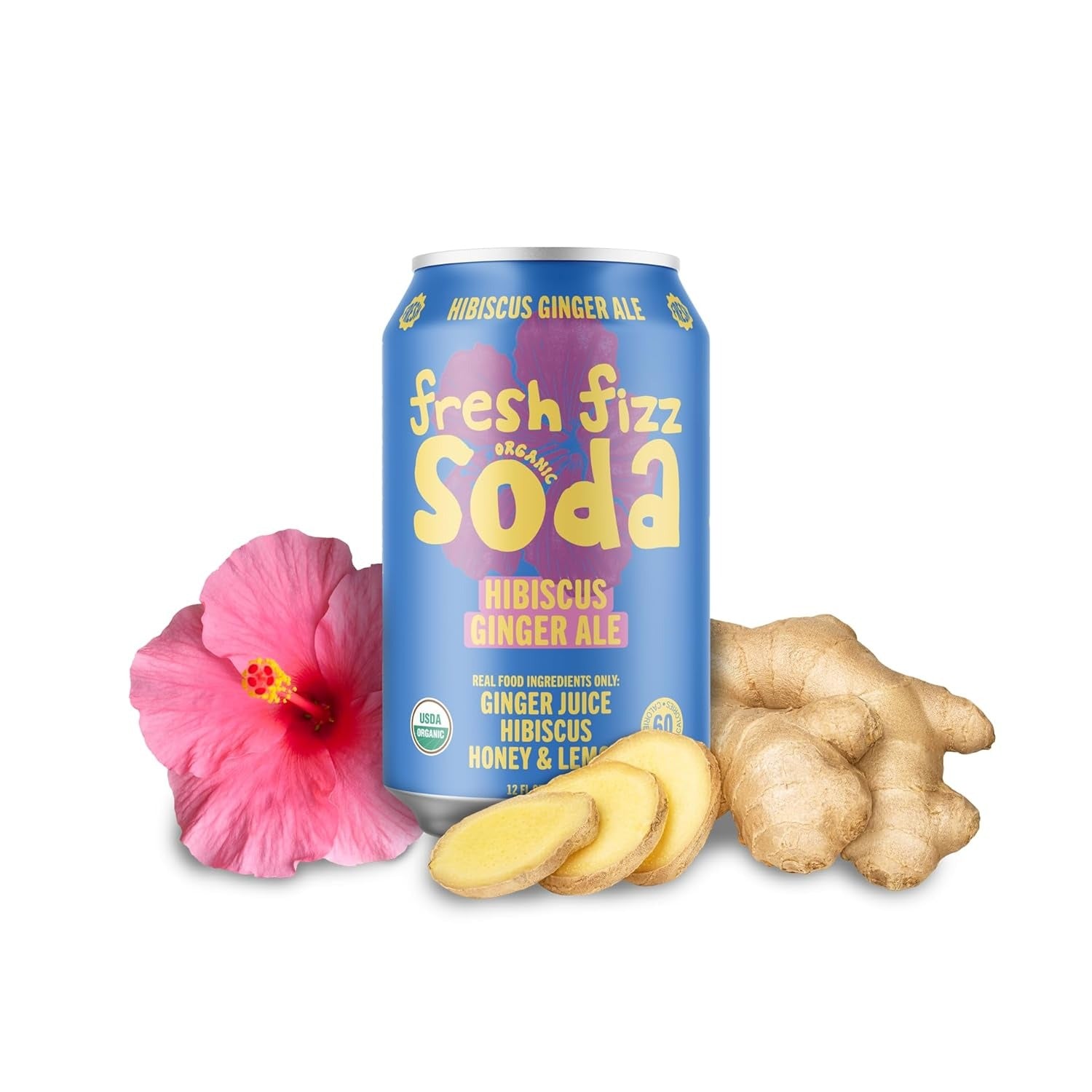 Hibiscus Ginger Ale (12 CT)