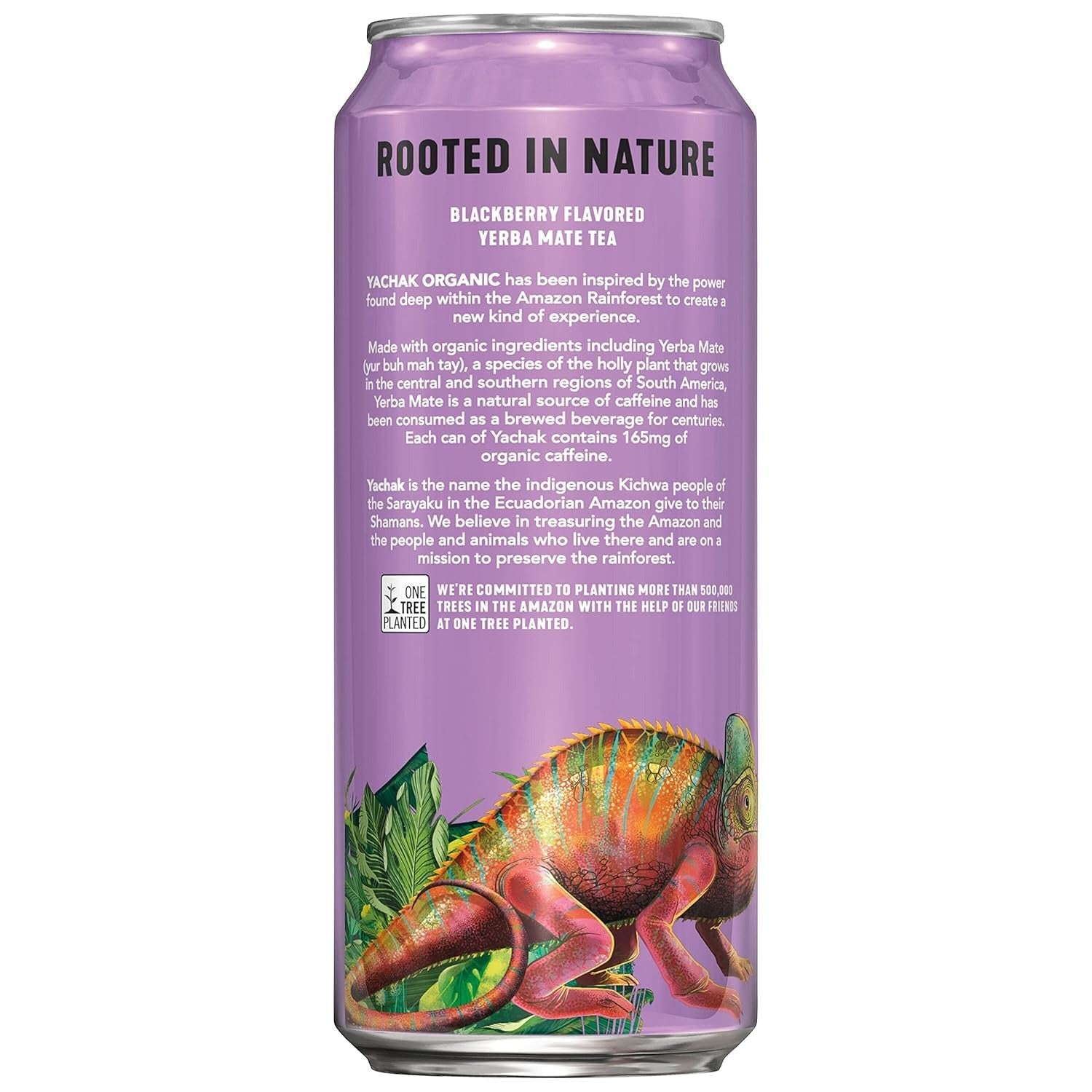 Blackberry Yerba Mate Tea (12 Pack)