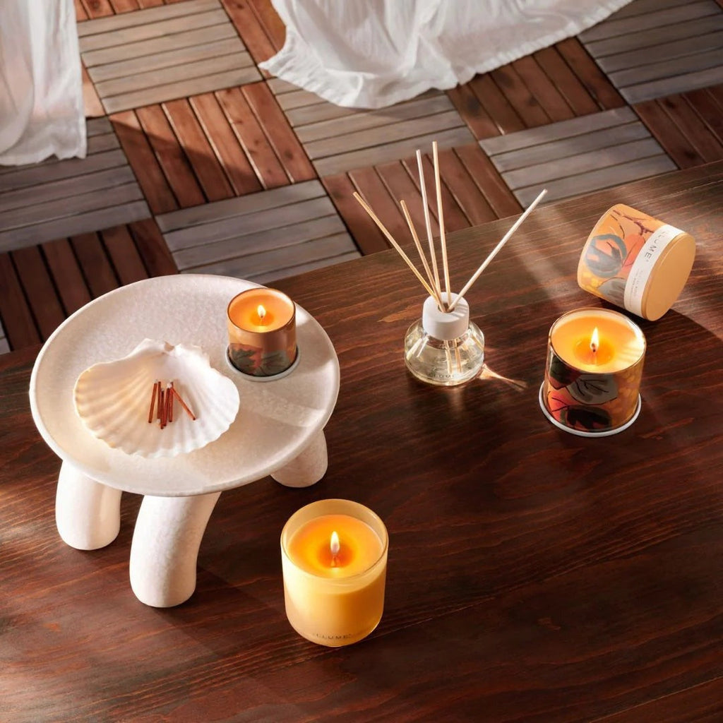 Demi Vanity Tin Candle - Santal Birch