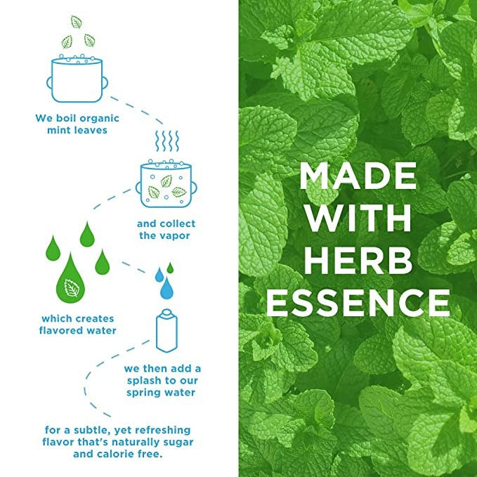 Water Mint Infused Spring Water