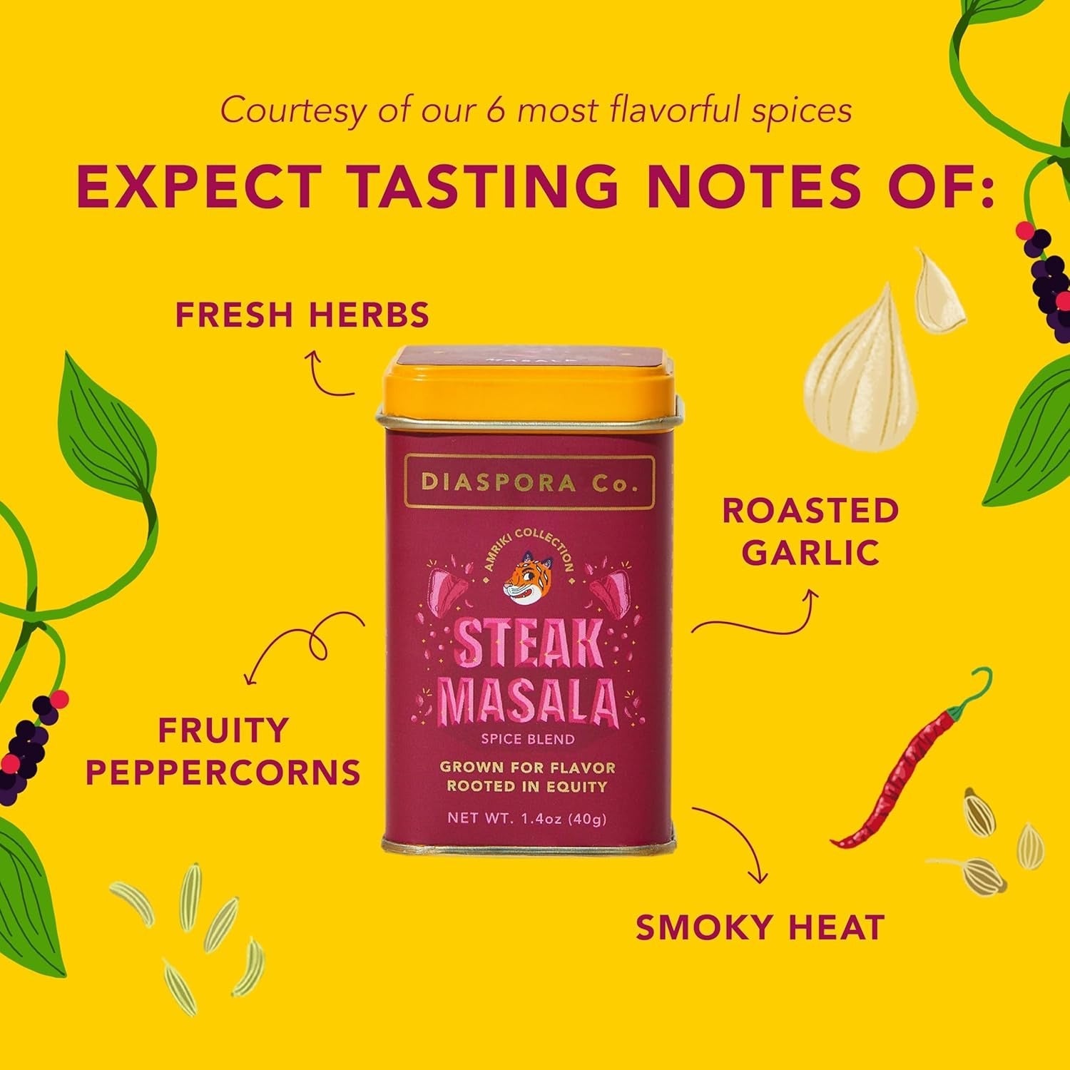 Steak Masala Spice Blend