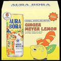 Ginger Meyer Lemon Sparkling Water (6 Pack)