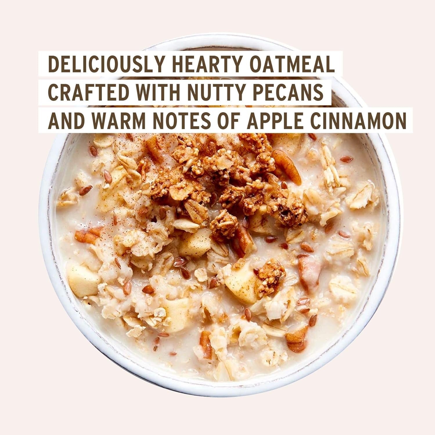 Apple Cinnamon Oatmeal Cup