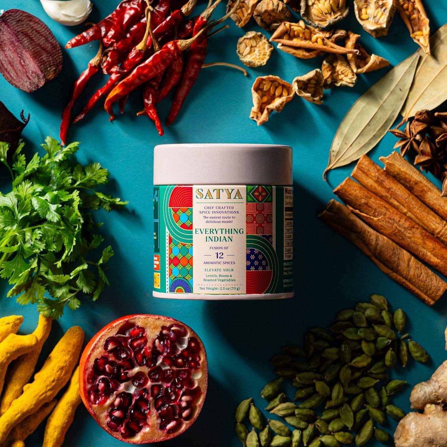 Everything Indian Masala with a Tangy