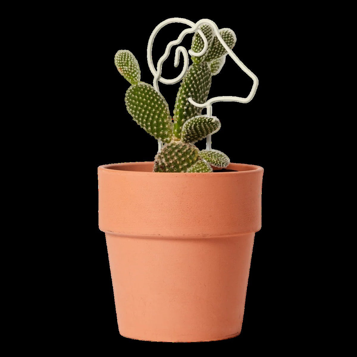 Plant Trellis - Small Ram