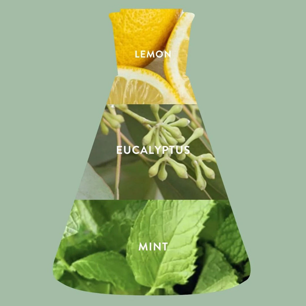 Tin Candle - Eucalyptus + Bliss
