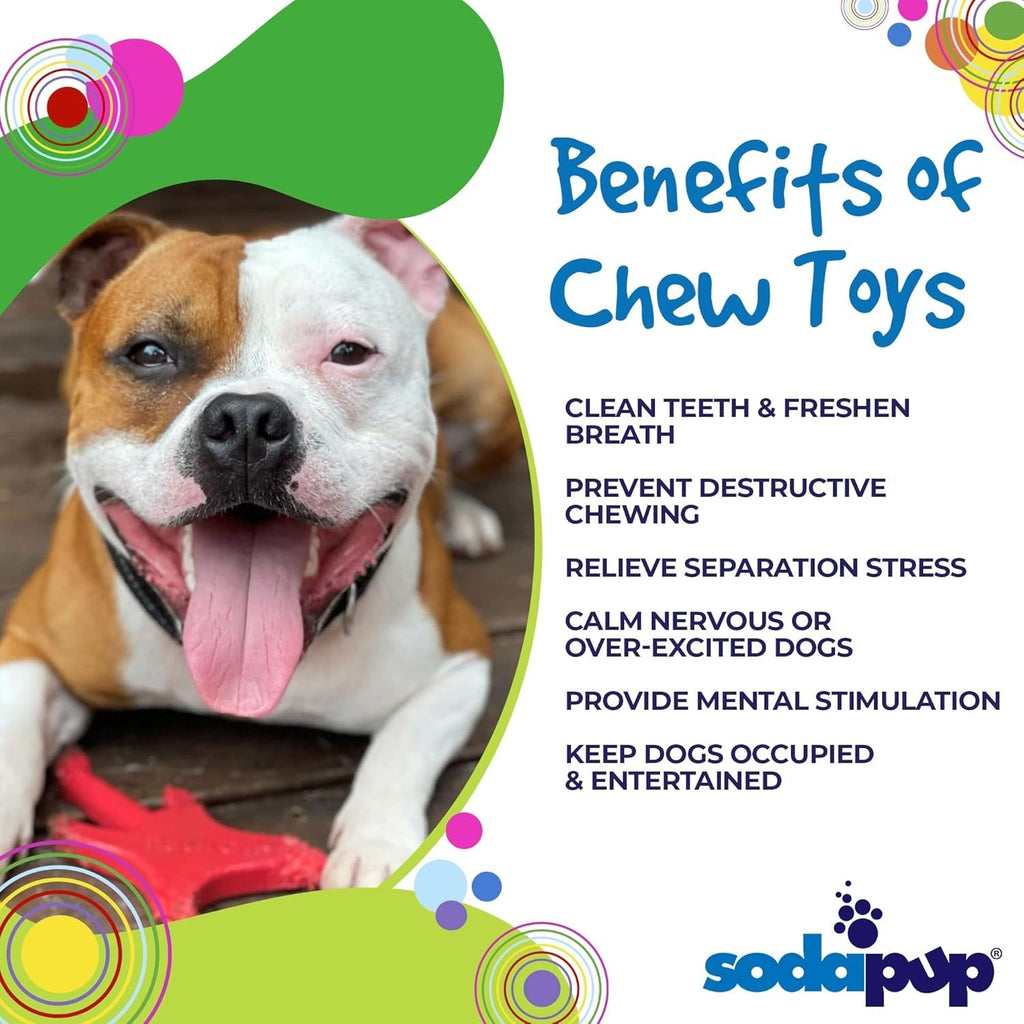 Electric Guitar – Durable Dog Chew Toy