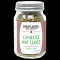Euphrates Mint