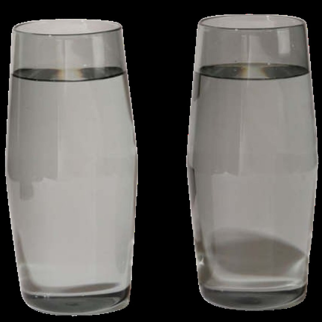 Century Glass Set Of Two (Gray)