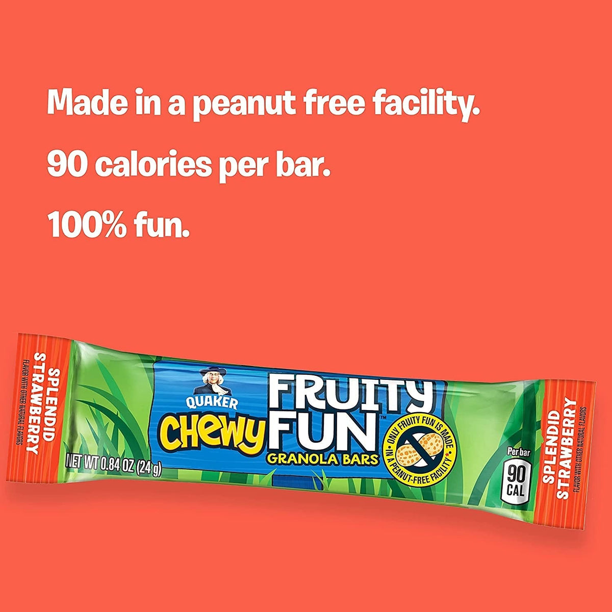 Fruity Fun Strawberry Granola Bars (6 Pack)