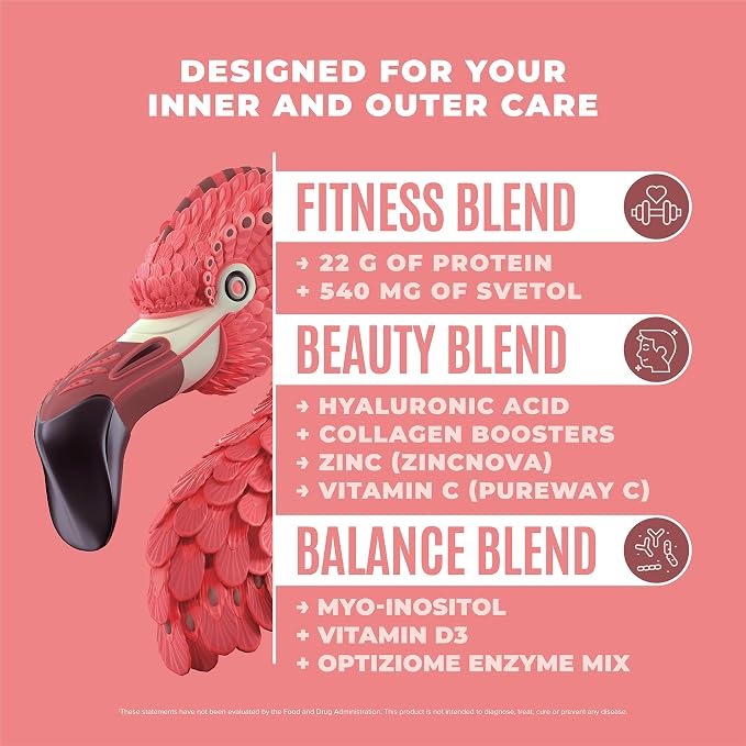 Fitmingo Mocha Plant-Based Protein Powder