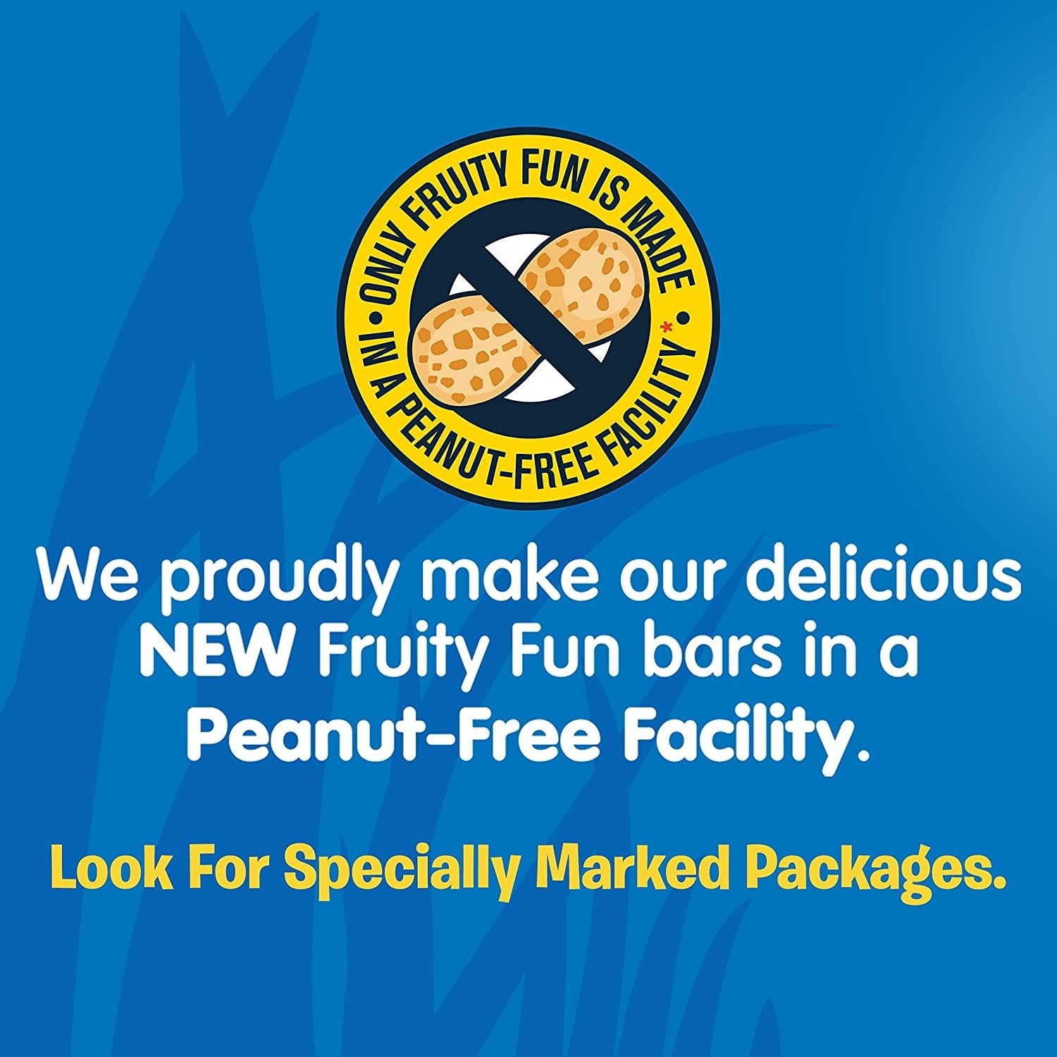 Fruity Fun Strawberry Granola Bars (6 Pack)
