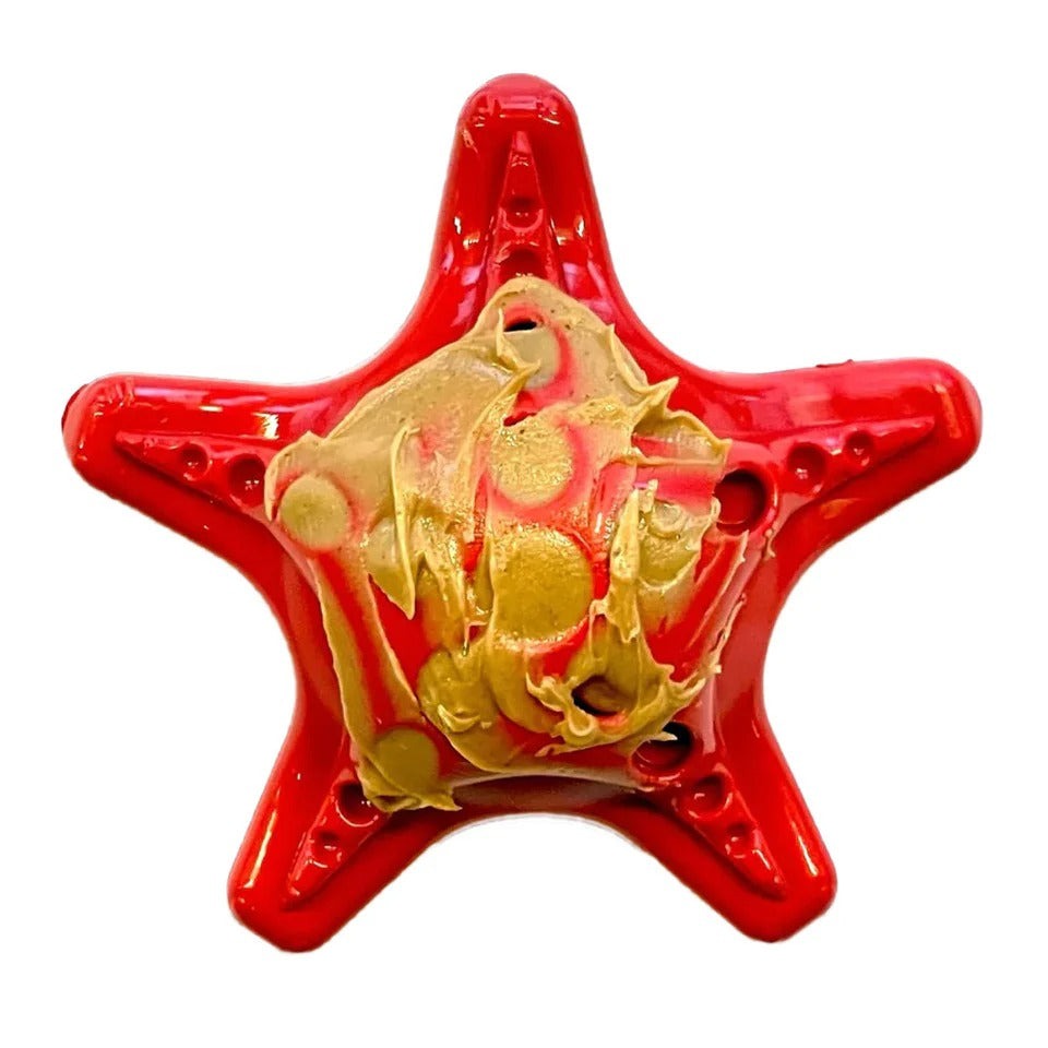 Starfish – Durable Dog Chew Toy - Red