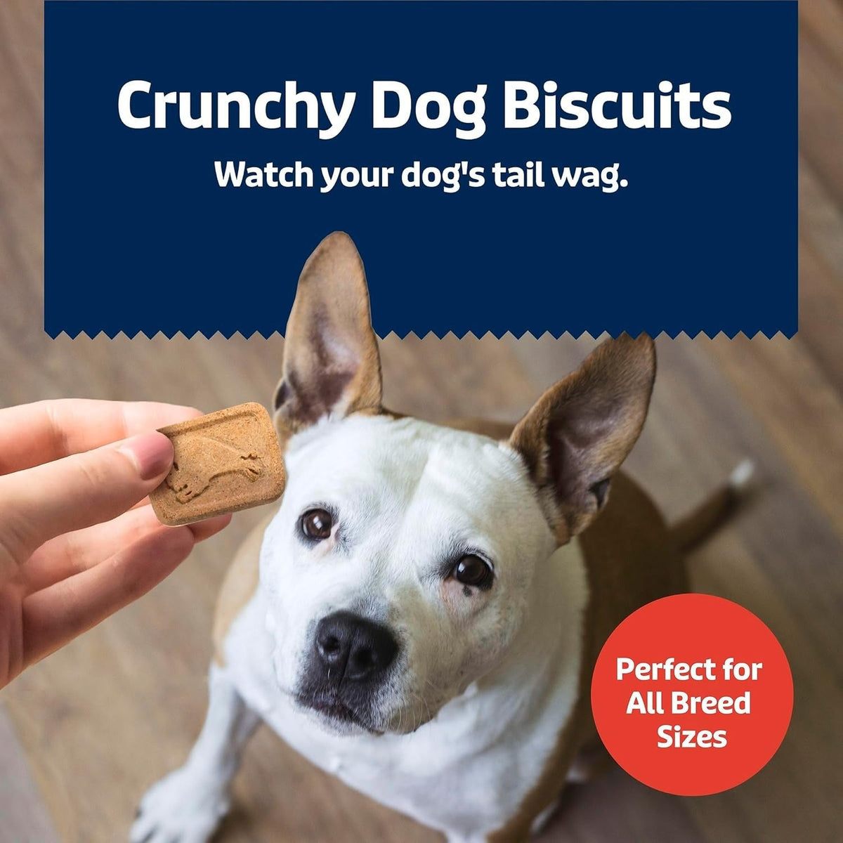 Health Bars Natural Crunchy Dog Treats - Bacon, Egg & Cheese Flavor