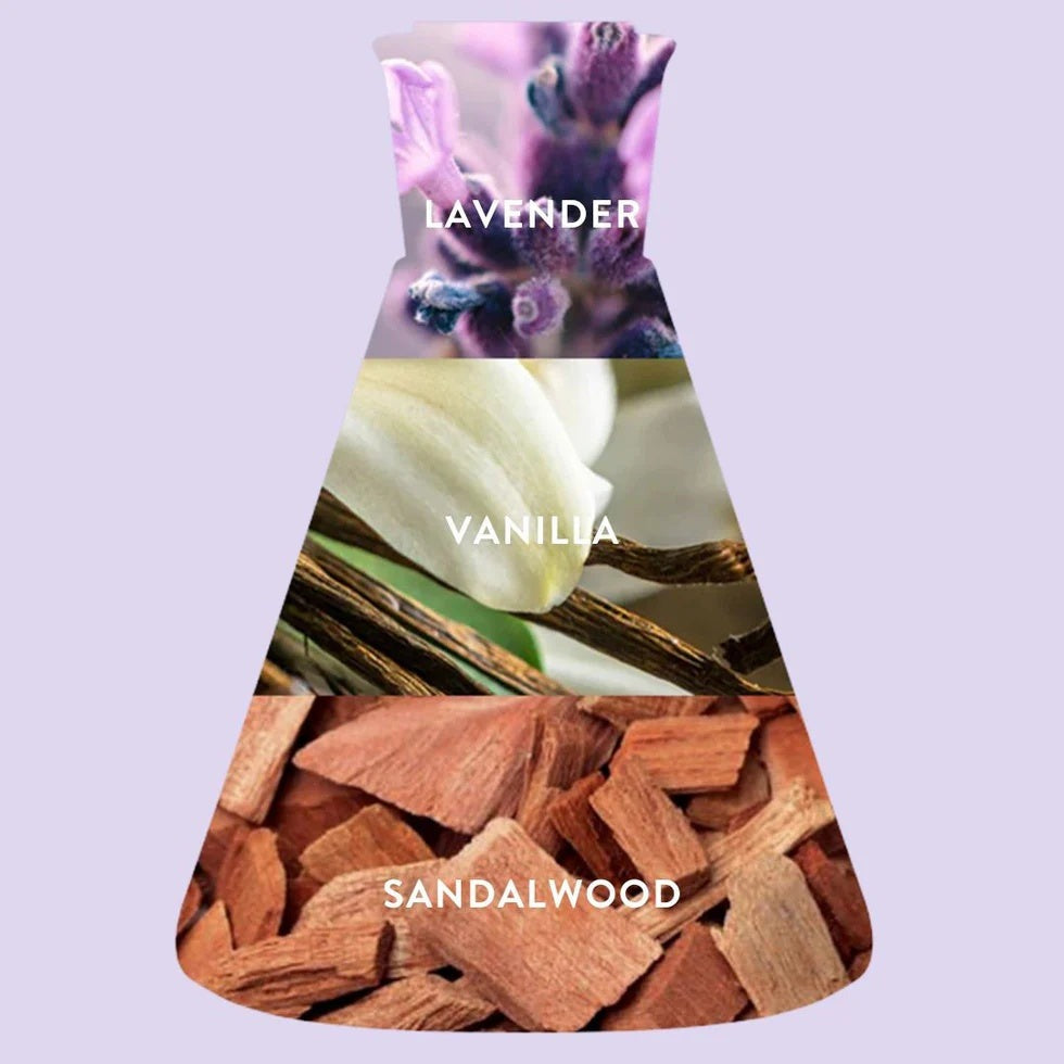 Tin Candle - Lavender + Ooh La La