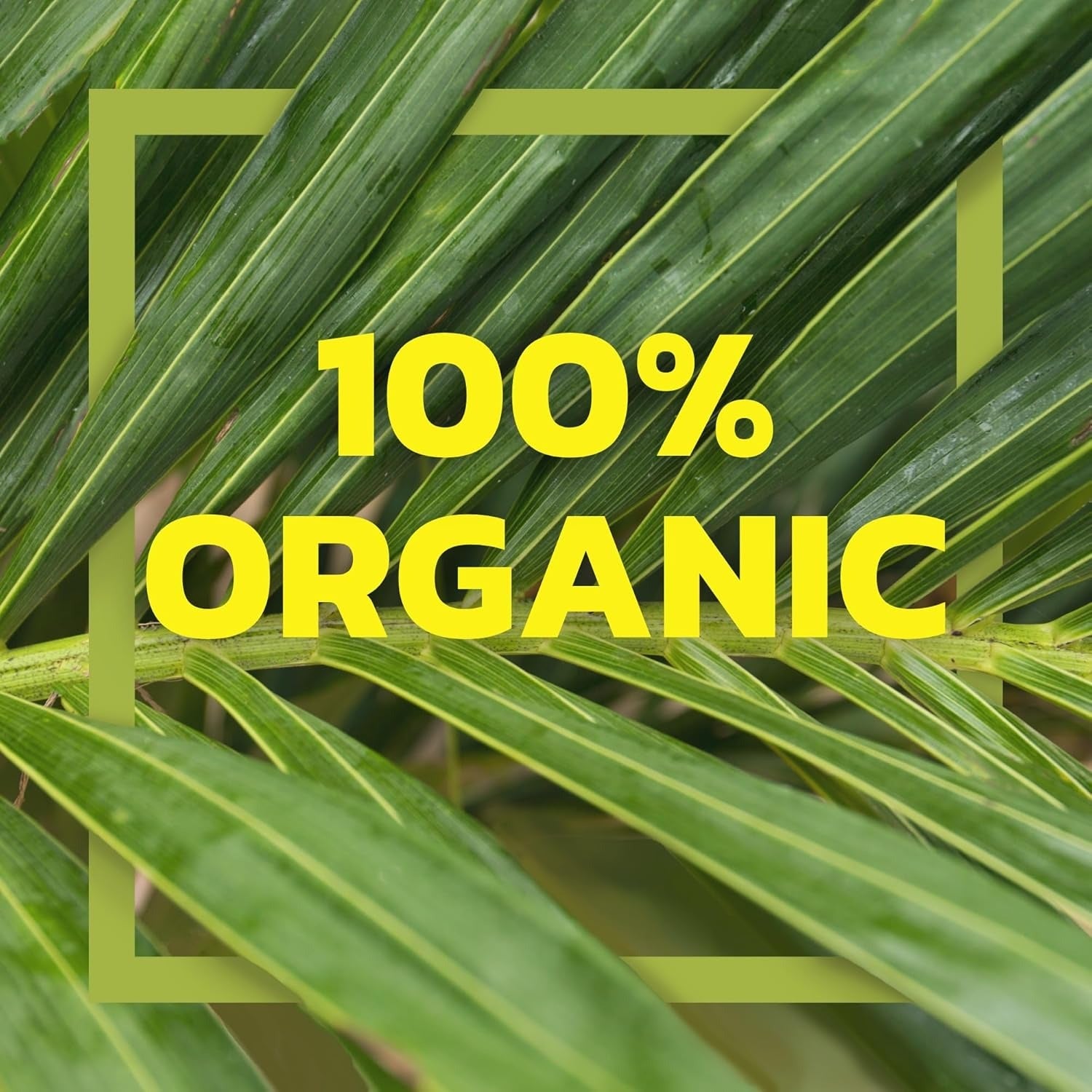 Organic Unsweetened Coconut Milk