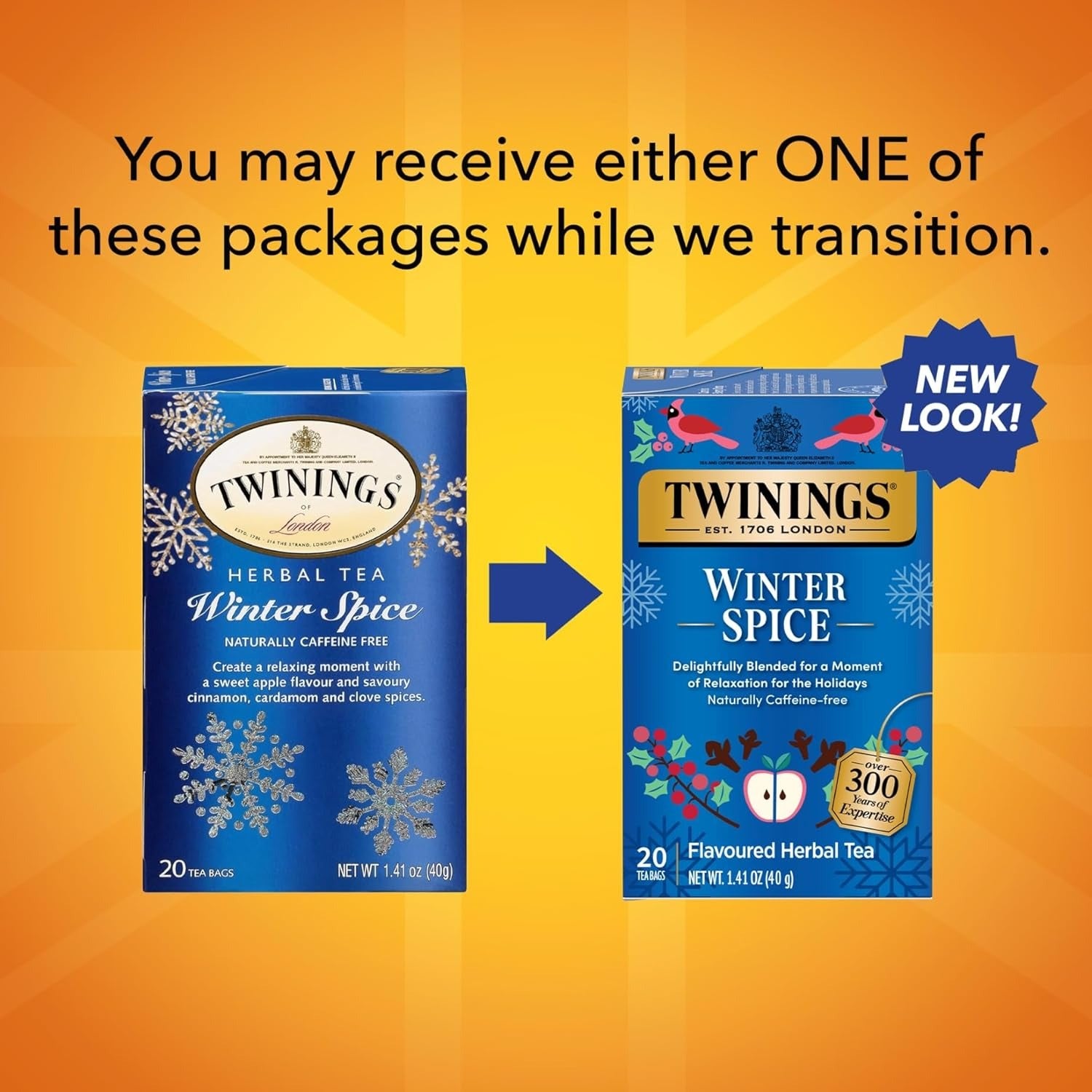 Winter Spice Tea (20 CT)