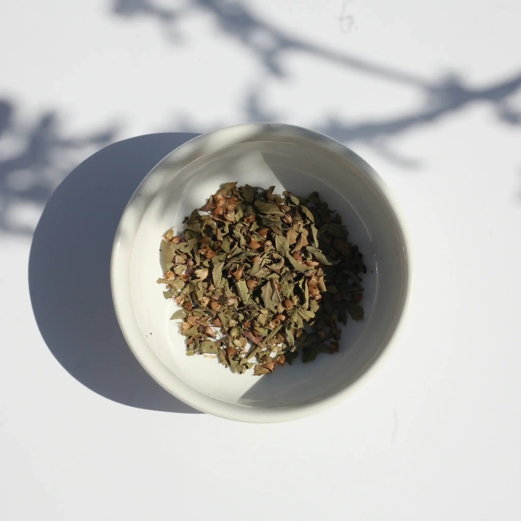 Tulsi Tea