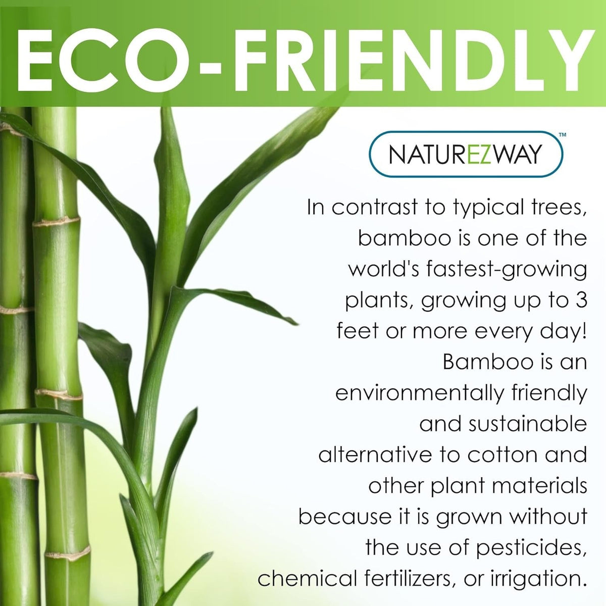 Bamboo Perforated Towels (25 CT)