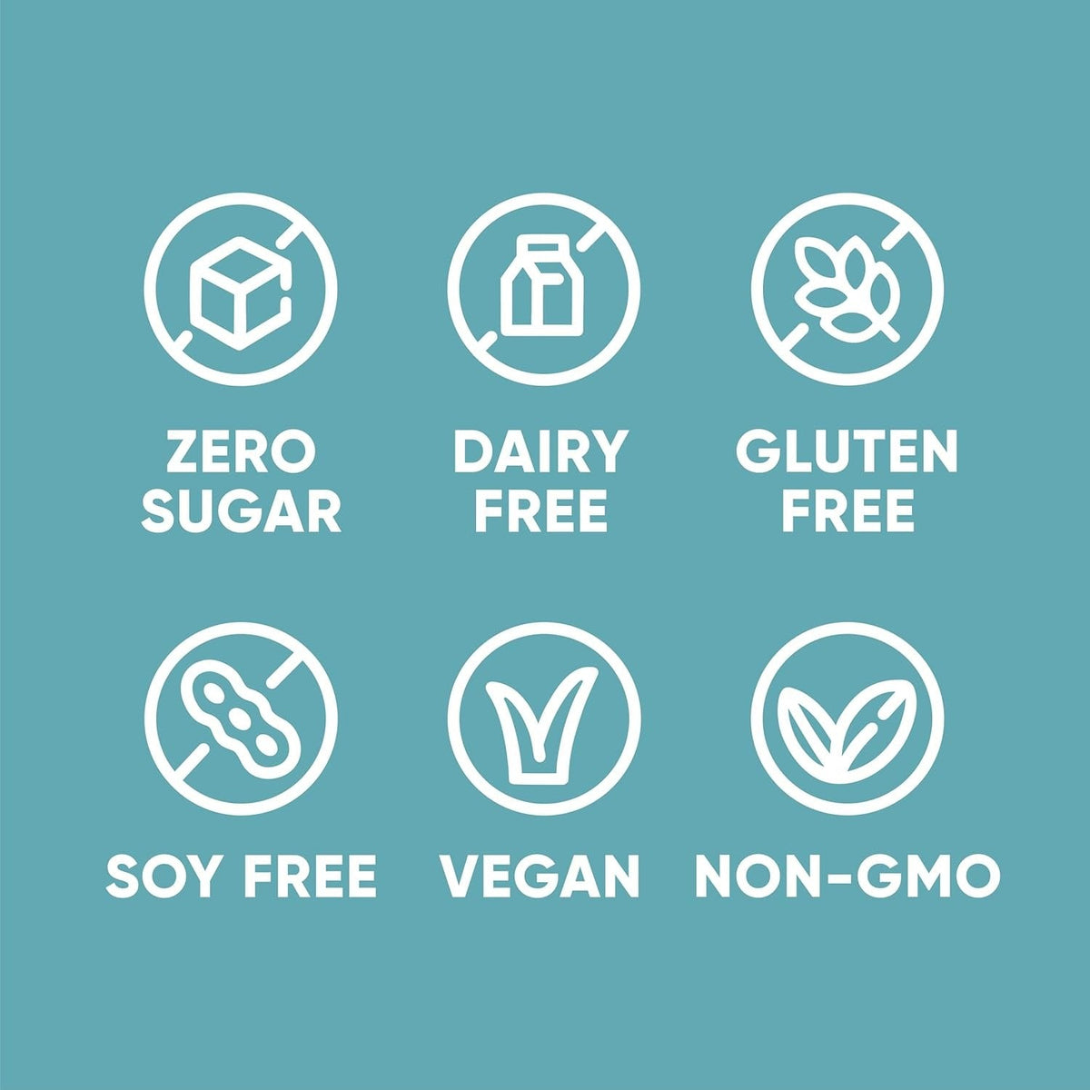 Plant Protein Drink - Vanilla (12 CT)